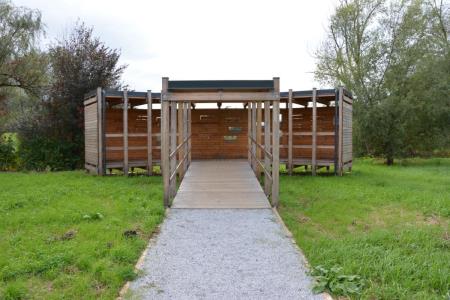 Mokrišče Hraše (6)